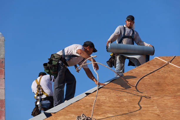 Best Commercial Roofing Services  in Romeovle, IL