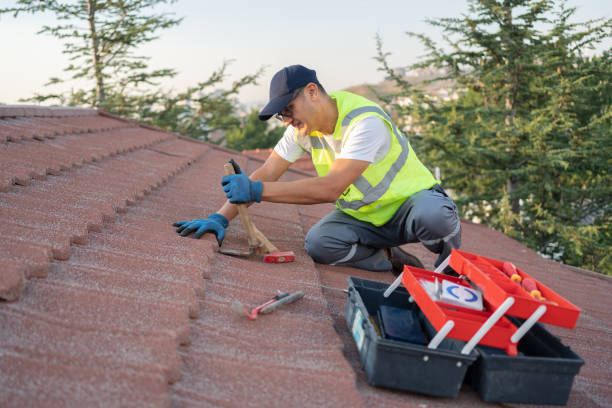 Best Flat Roof Repair Services  in Romeovle, IL