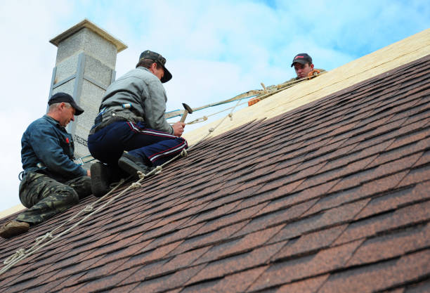 Roof Waterproofing Services in Romeoville, IL